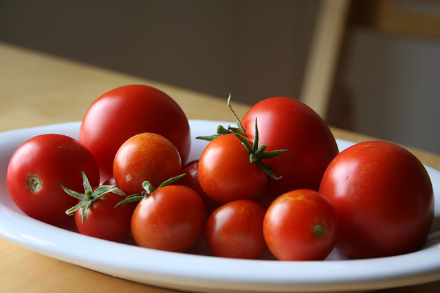 245485339_fa0d535429_z