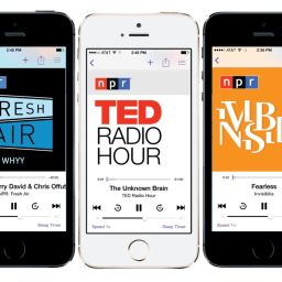 The Podcast Market Solidifies